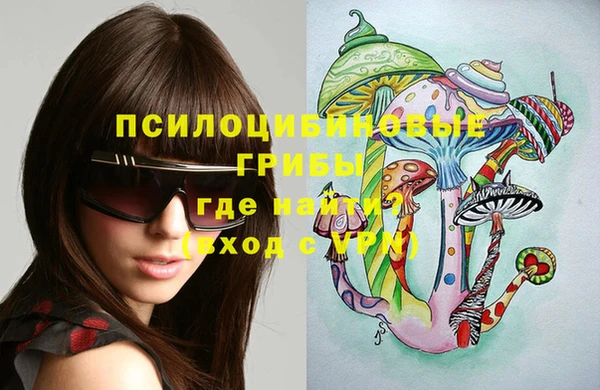 a pvp Белокуриха